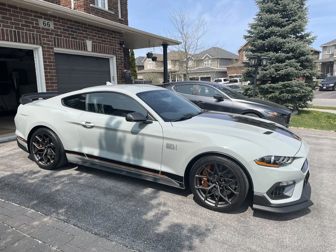 White Mustang Mach 1 protection project by Crystal's Auto Tinting